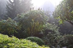 herbst_02.JPG