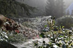 herbst_05.JPG