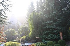 herbst_06.JPG