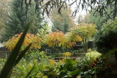 herbst_08.JPG
