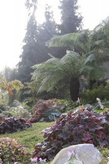 herbst_15.JPG